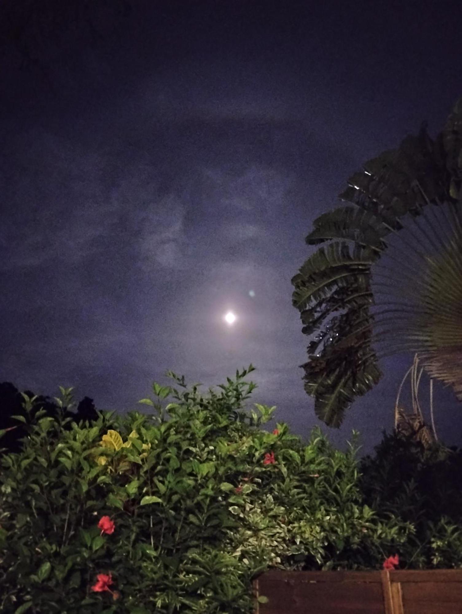 Blue Kaz Caraïb Villa Pointe-Noire Dış mekan fotoğraf